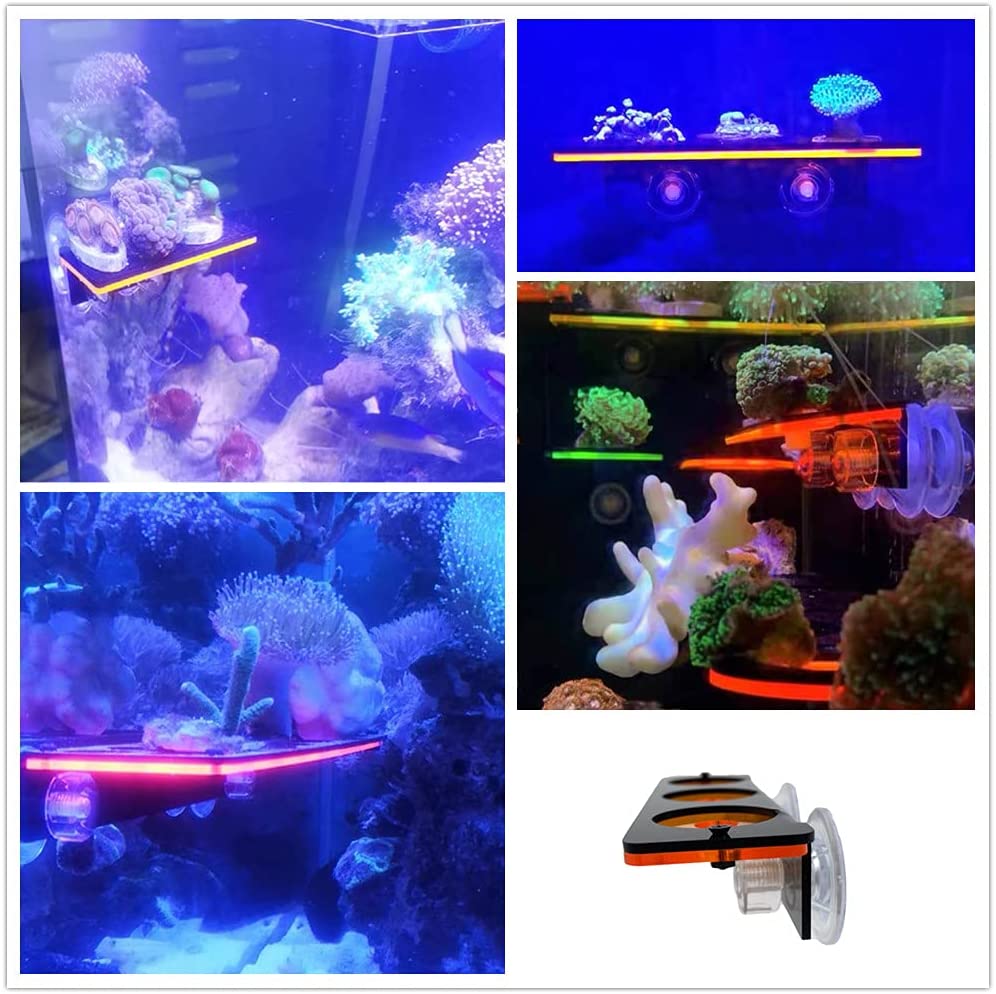 Fluorescent Coral Frag Plug Br - огляд і ціна Marine Aquarium Design